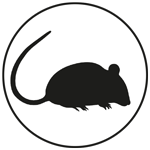 Nagetierbekämpfung