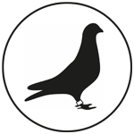 Taubenabwehr